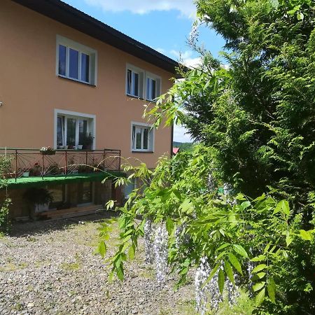 Noclegi Pod Lasem Solina 20 Exterior foto